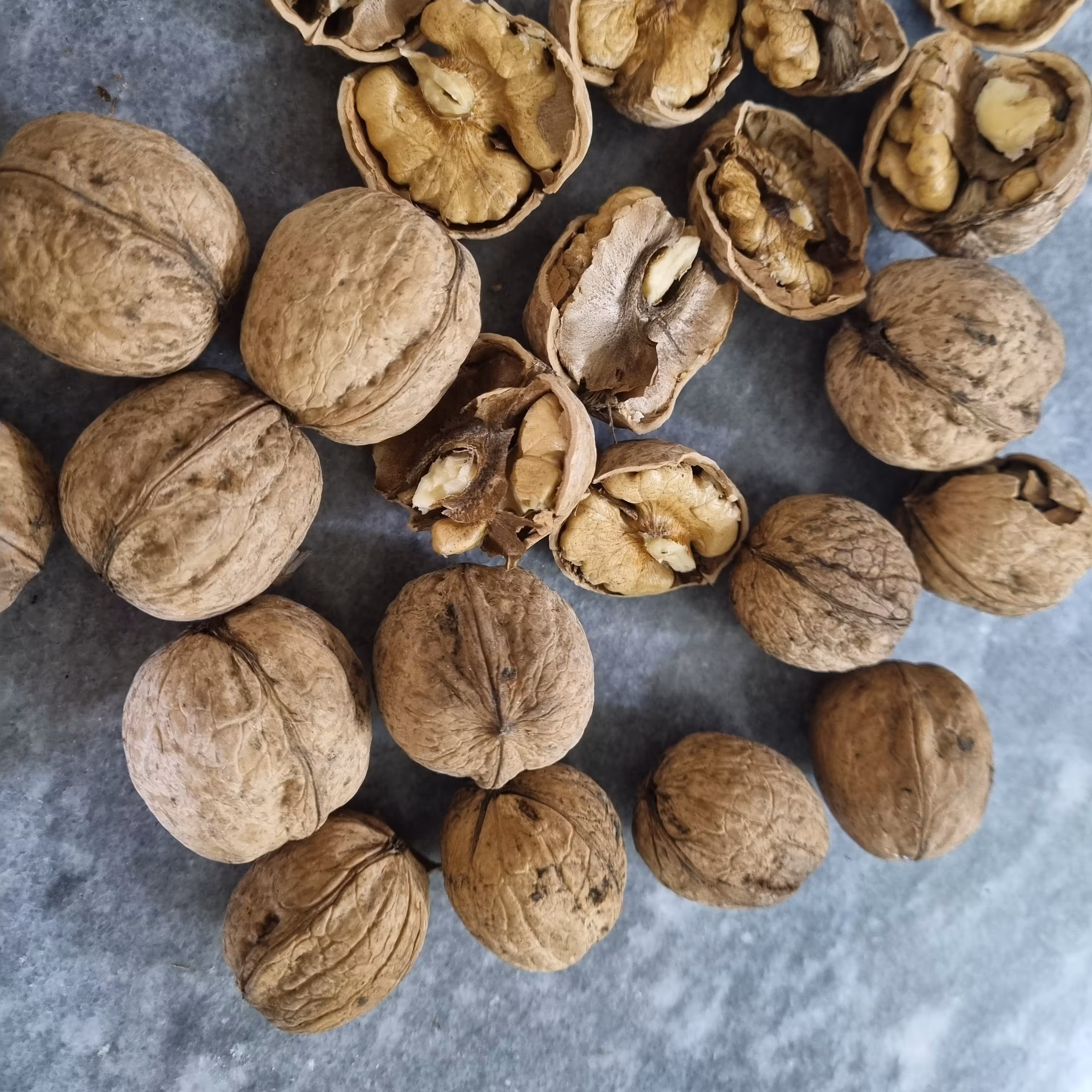 گردوی  پوست کاغذی یک کیلو گرمی  تضمین شده مستقیم از کشاورز 