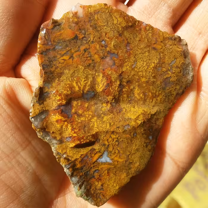 سنگ راف شجر پاییزی خاص دو طرفه شجر واضح 100درصد طبیعی بی نظیییر