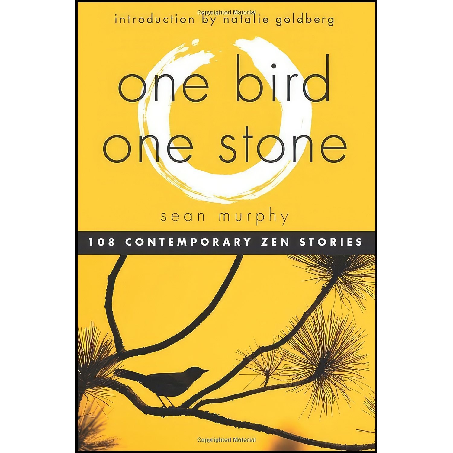 کتاب زبان اصلی One Bird One Stone اثر Sean Murphy and Natalie Goldberg