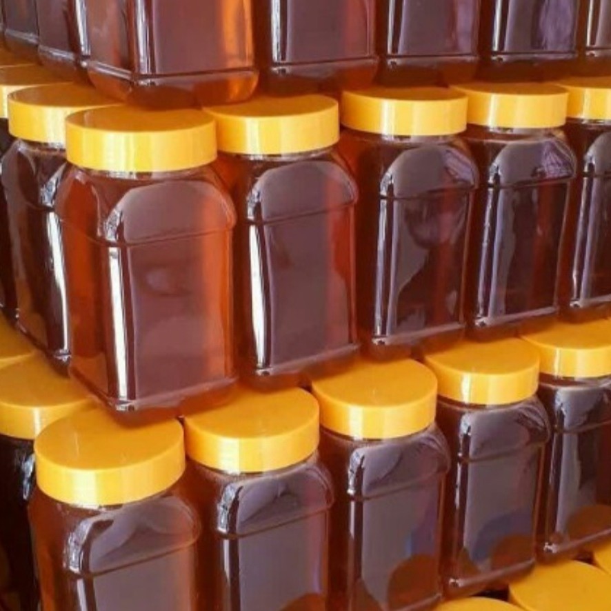 عسل گون یک کیلویی