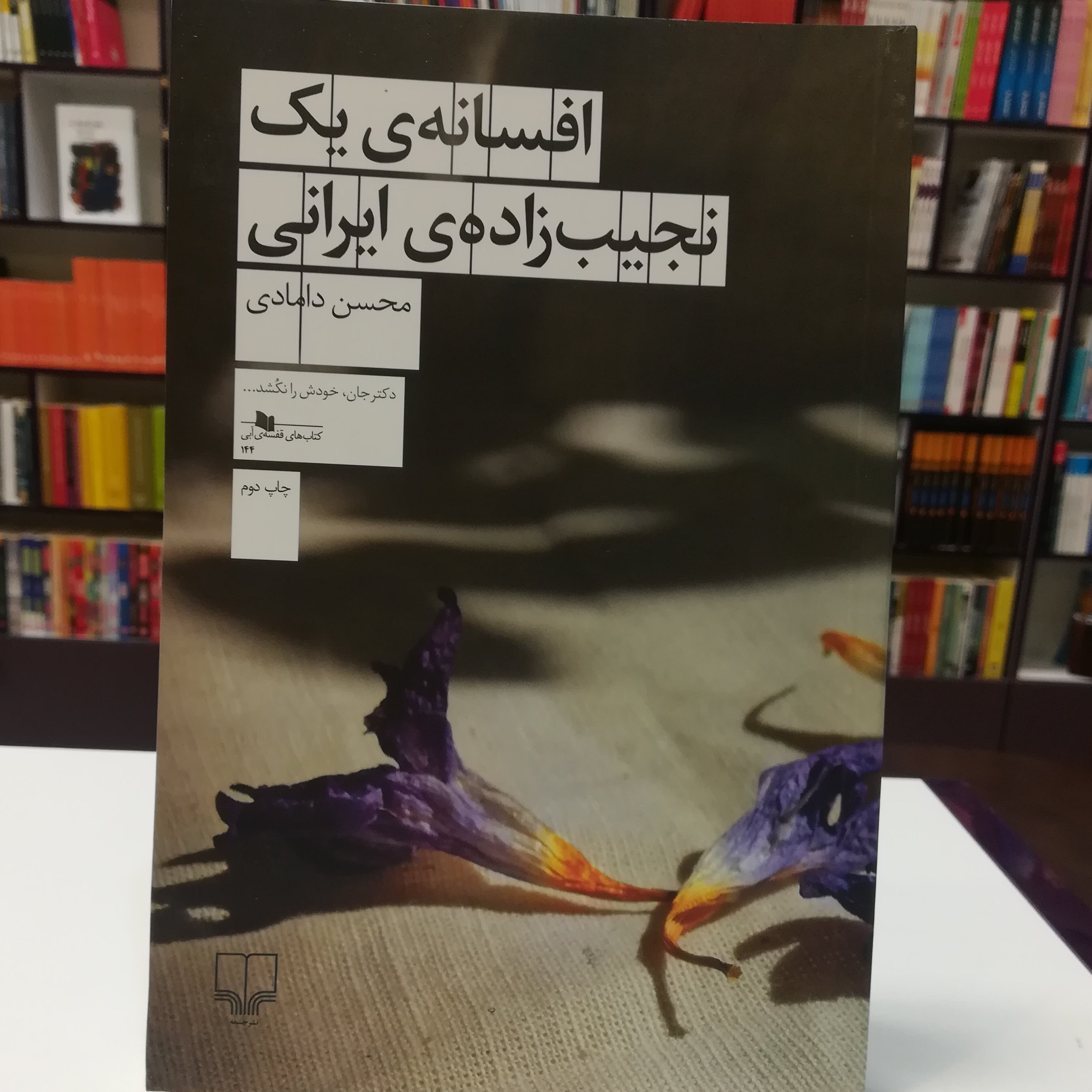 افسانه‌ی یک نجیب زاده‌ی ایرانی / محسن دامادی / نشر چشمه 