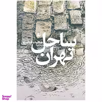 کتاب ساحل تهران اثر مجید قیصری نشر افق