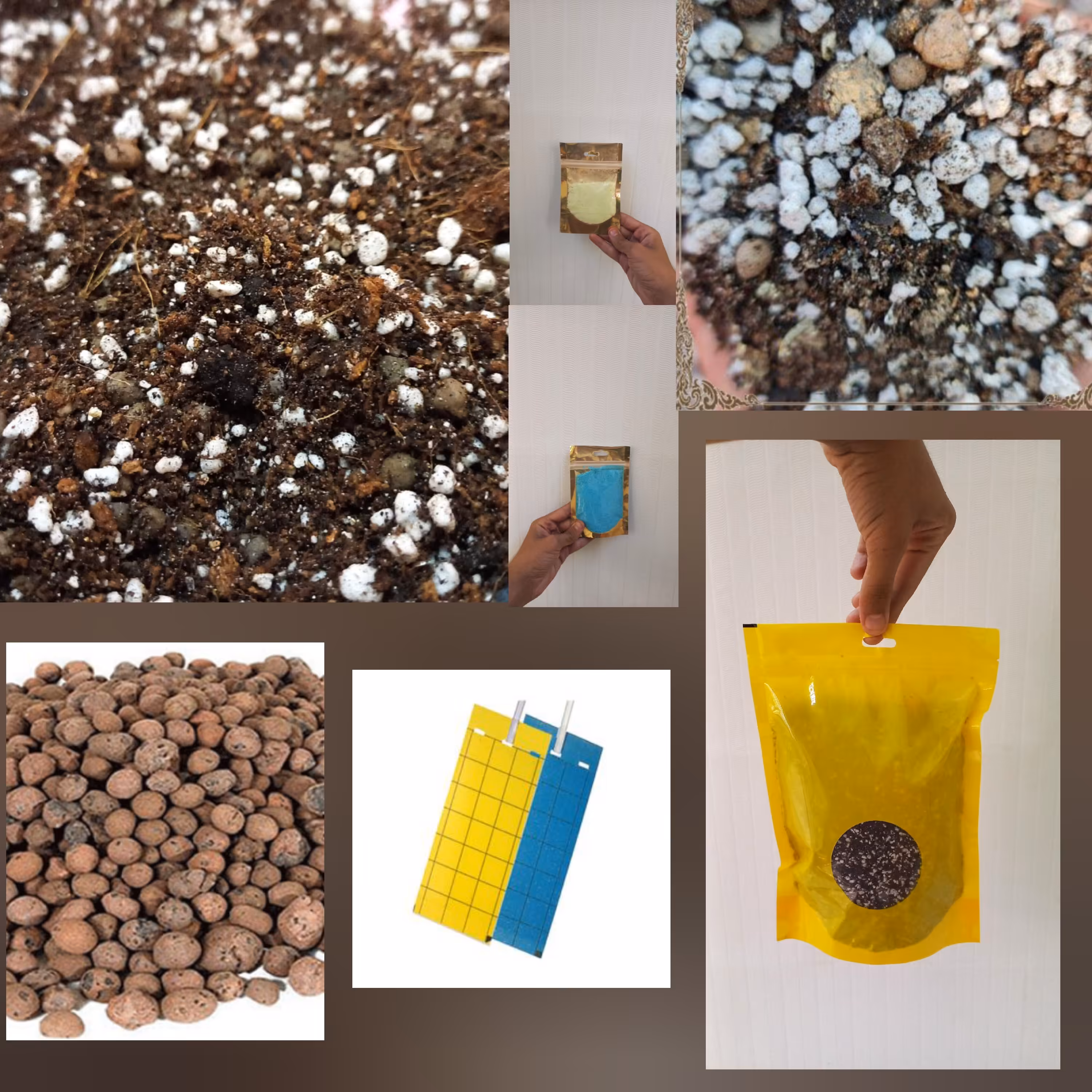 پک گلیار مخصوص گیاهان آپارتمانی (پس کرایه)