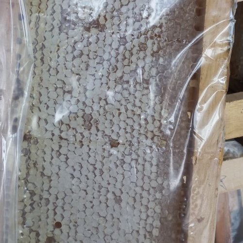 عسل گون گز