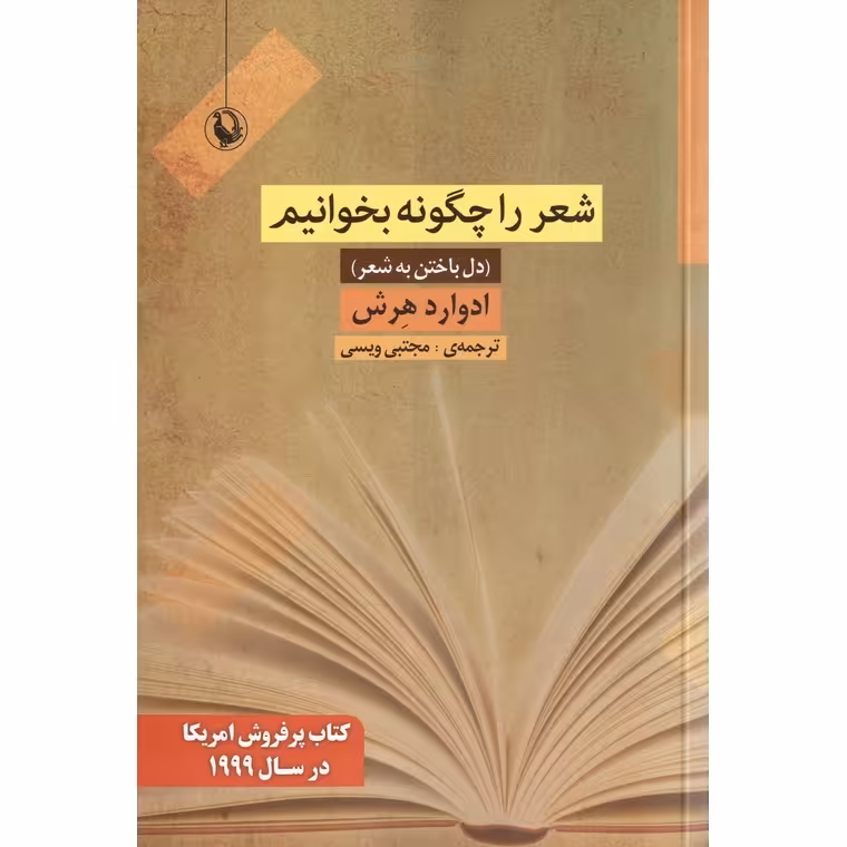 شعر را چگونه بخوانیم