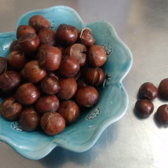 فندق بوداده دهاتی کالا 400 گرمی درجه یک