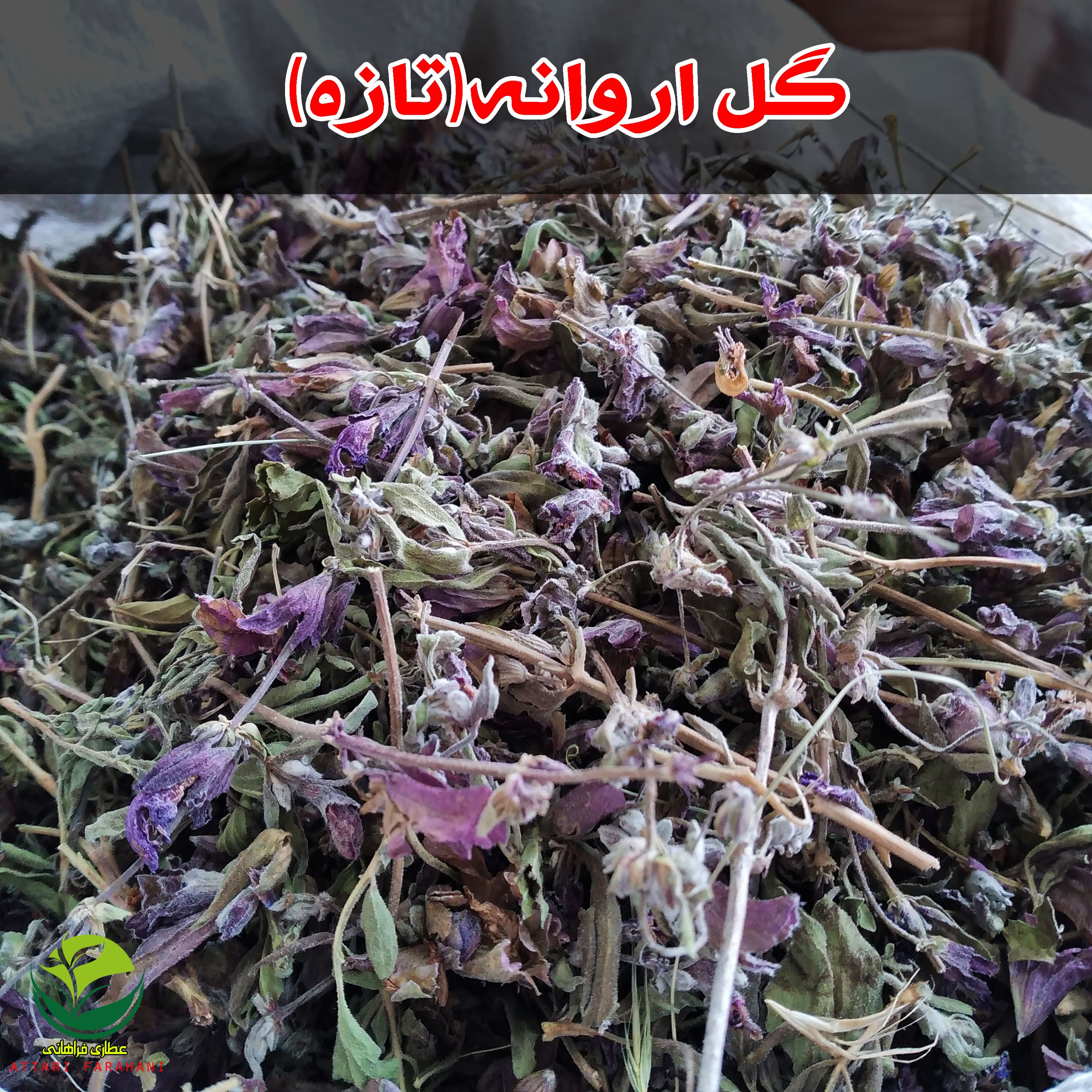 گل اروانه(تازه)، 50 گرمی