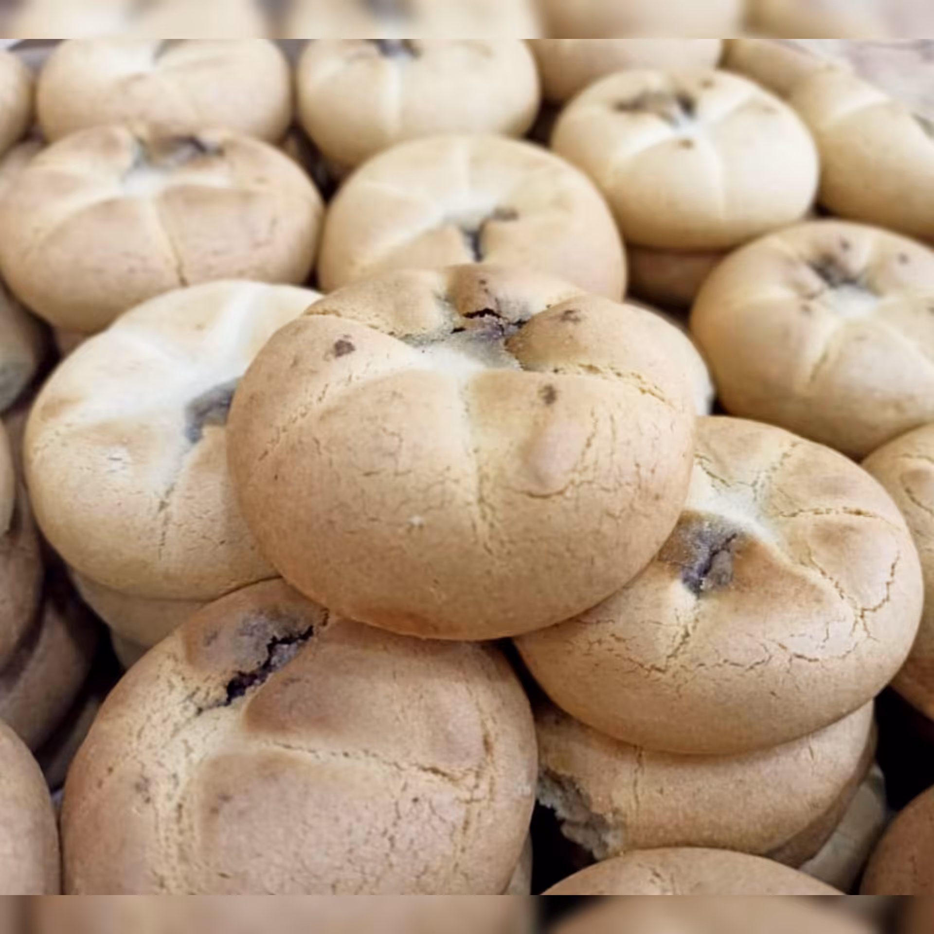 کلوچه خرمایی تازه پخت(کلمپه 1 کیلویی) سوغات خوشمزه و مقوی کرمان