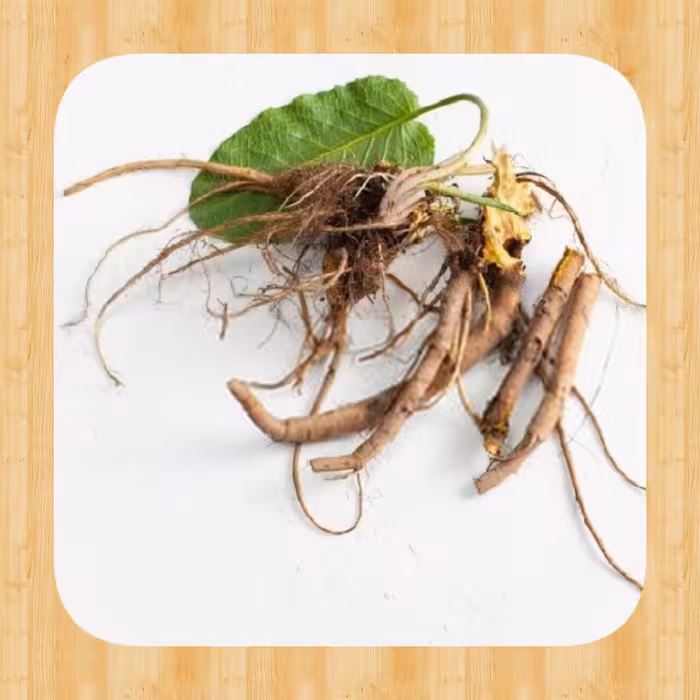 ریشه خشک ترشک 100 گرمی معالج کم خونی فقر آهن آقای عطار