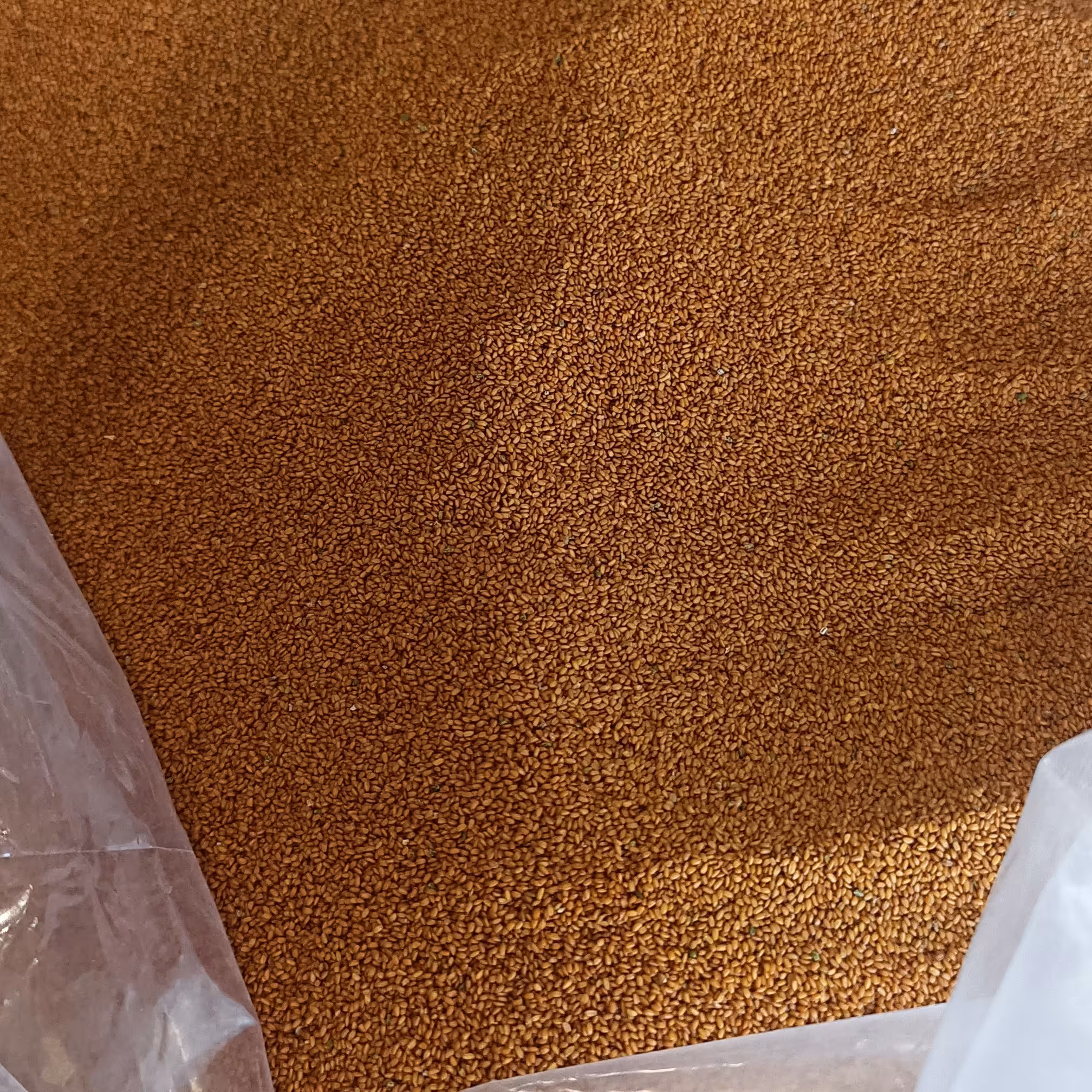 خاکشیر سوپر ممتاز نیم کیلویی 165