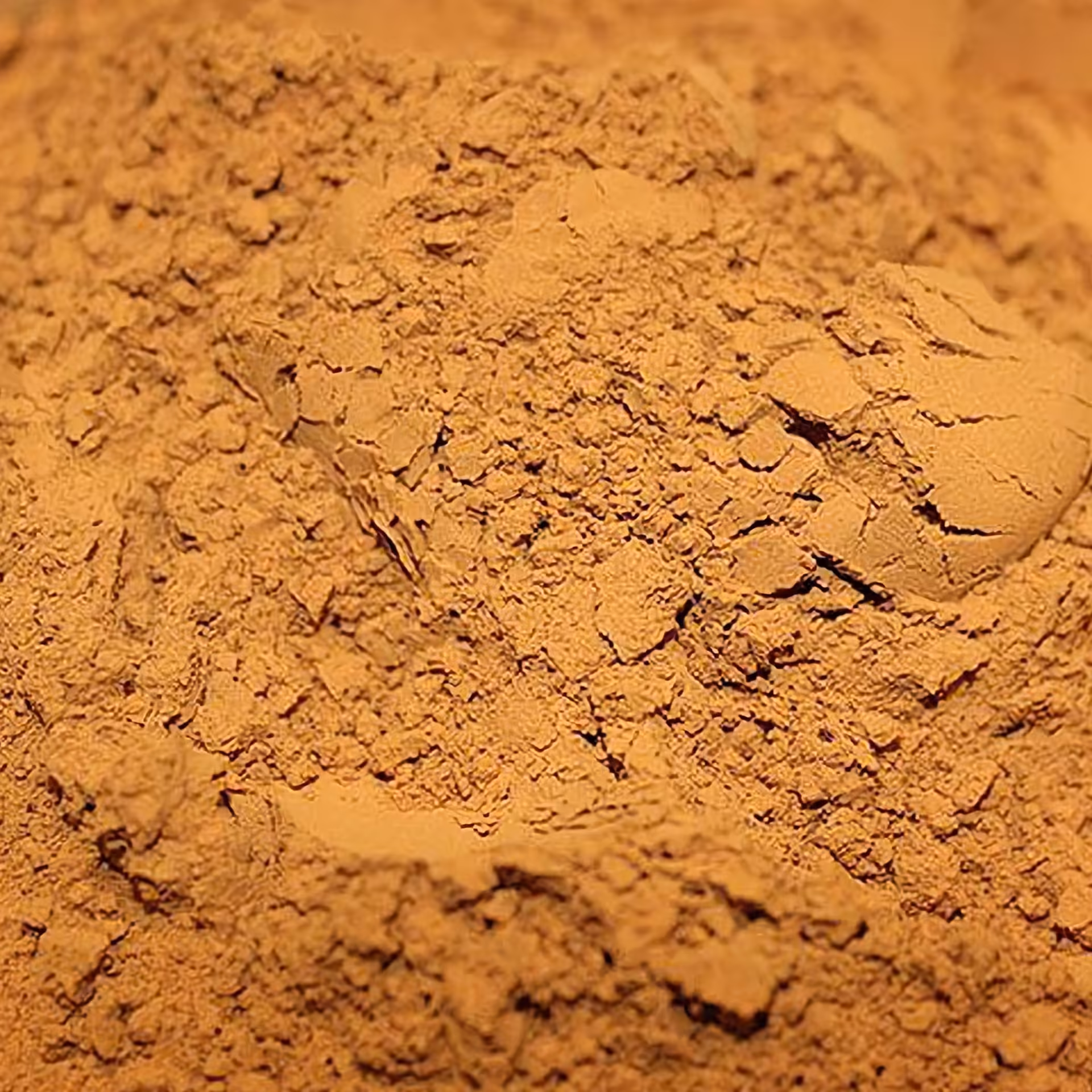 پودردارچین بسته100گرمی