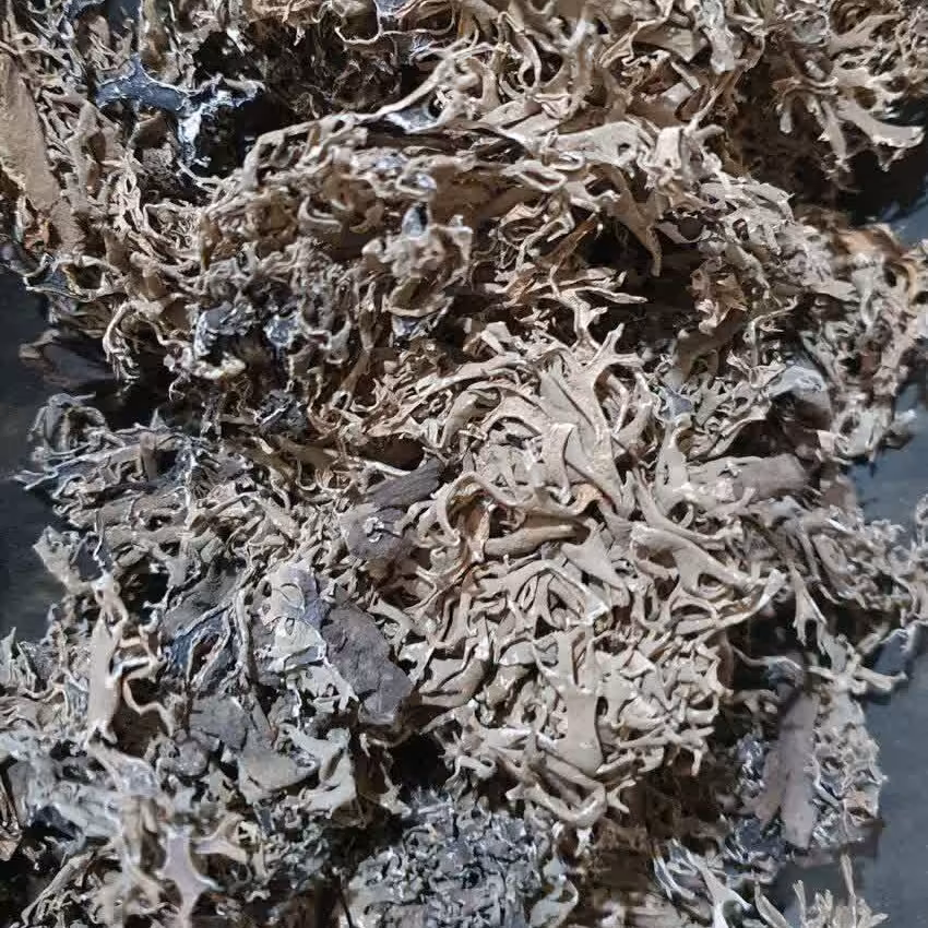 اشنه  یا اوشنه 50 گرم 