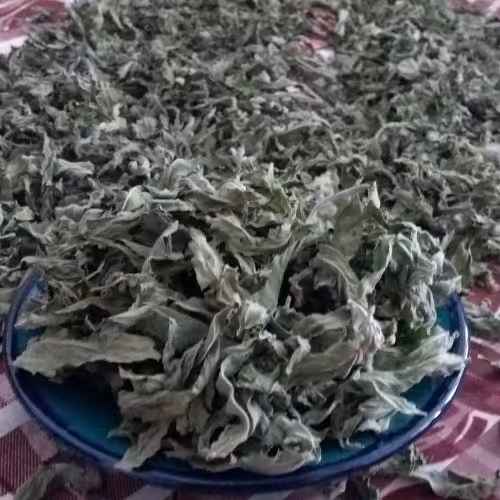 پونه کوهی خشک 100 گرمی