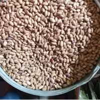 لوبیاچیتی (800گرمی )عطاربانو 