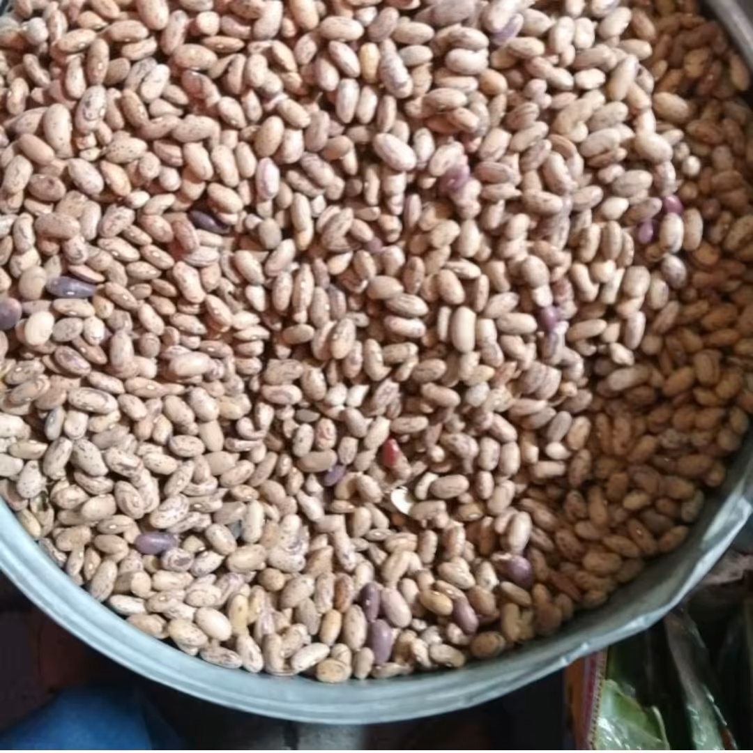 لوبیاچیتی (800گرمی )عطاربانو 