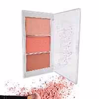 پالت رژگونه 3 عددی مودا شماره 10