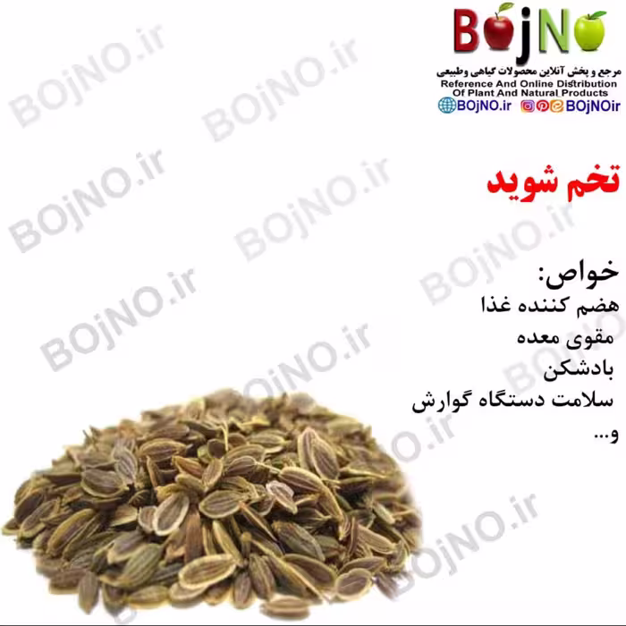تخم شوید 100گرمی