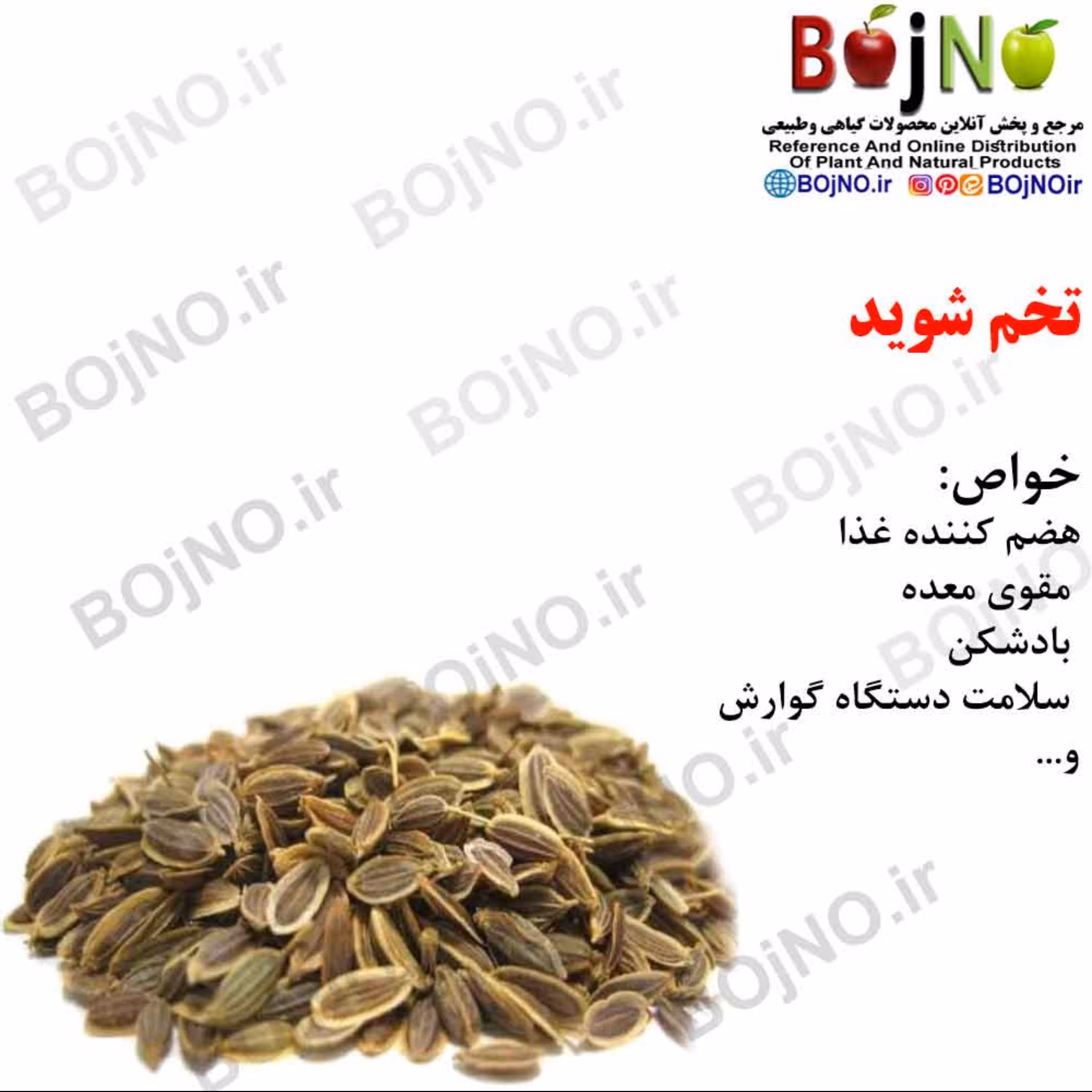 تخم شوید 100گرمی