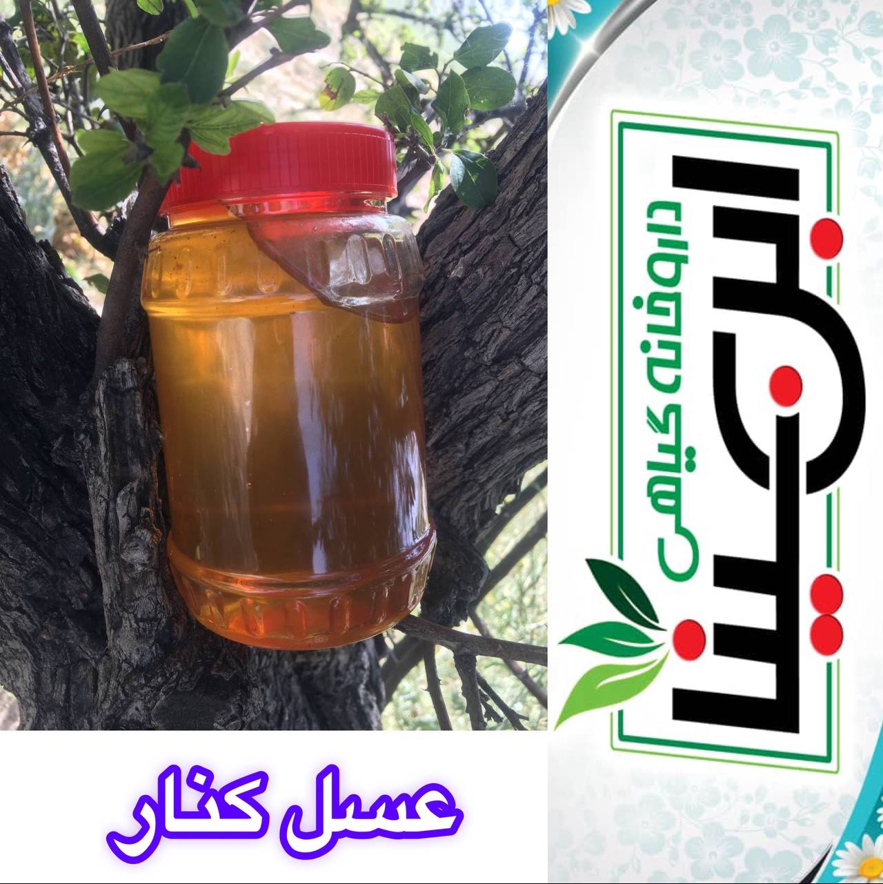 عسل کنار یا سدر کازرون