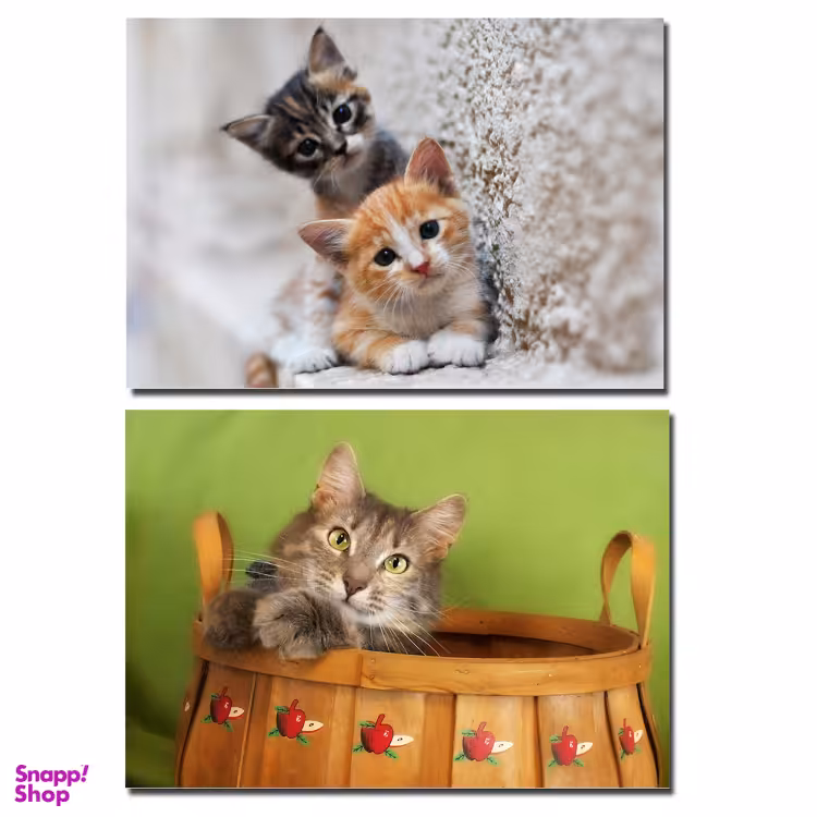 تابلو طرح گربه کد BOSH1 مجموعه دو عددی