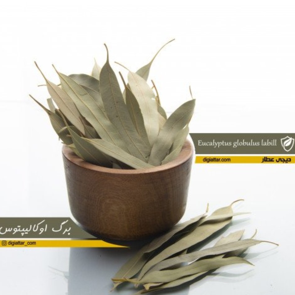 برگ اکالیپتوس 50 گرمی