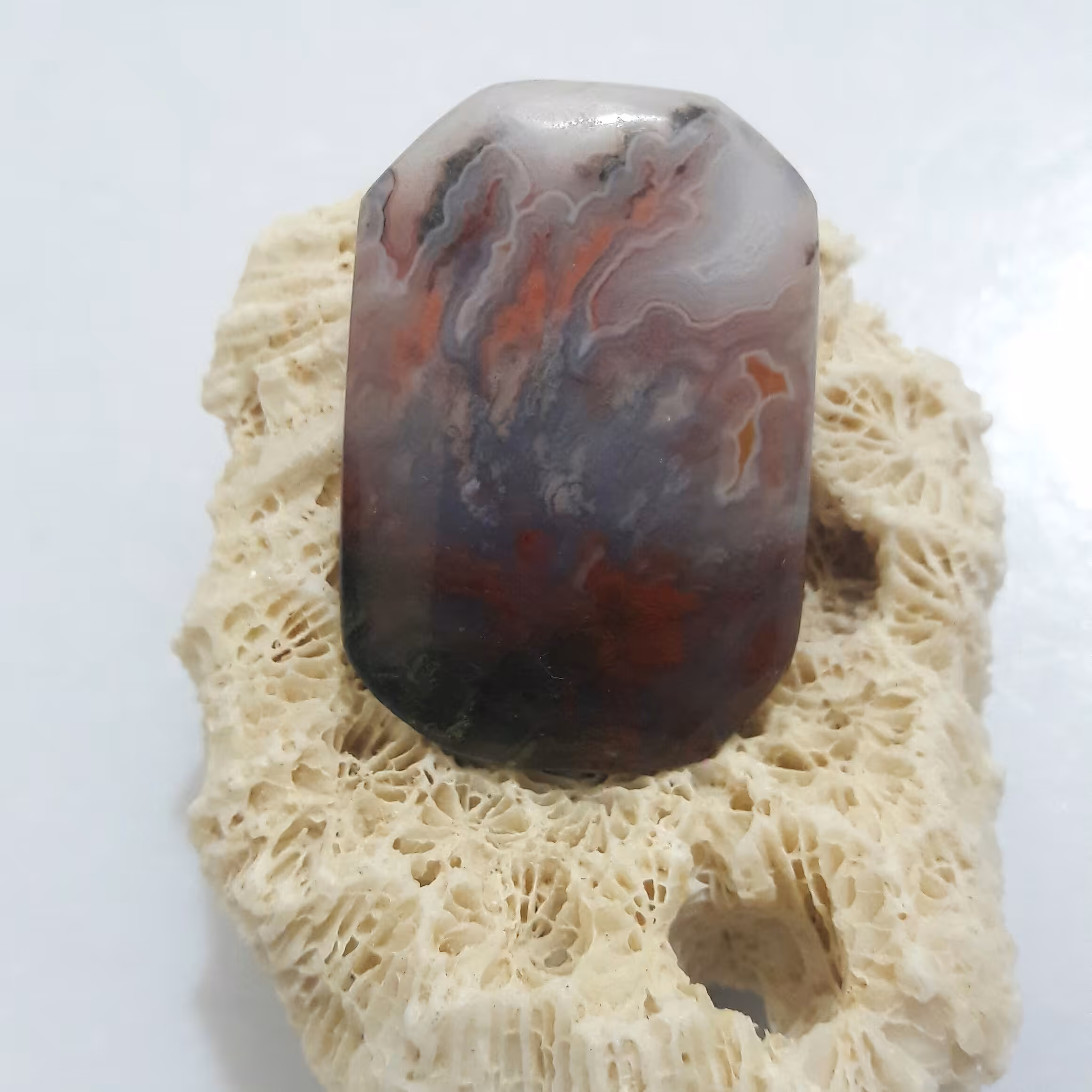 شجر منظره تابلویی بسیار زیبا و خاص