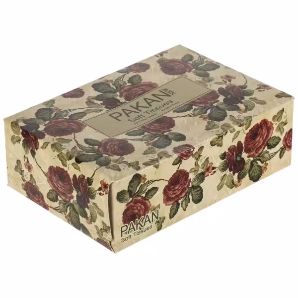 دستمال کاغذی 100 برگ پاکان مدل Patris | فروشگاه اینترنتی تاتا کالا