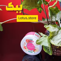 کرم مرطوب کننده هلو 100 میل ببک