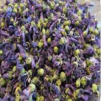 گیاه گل پنیرک 5ستاره فدک (50گرم)