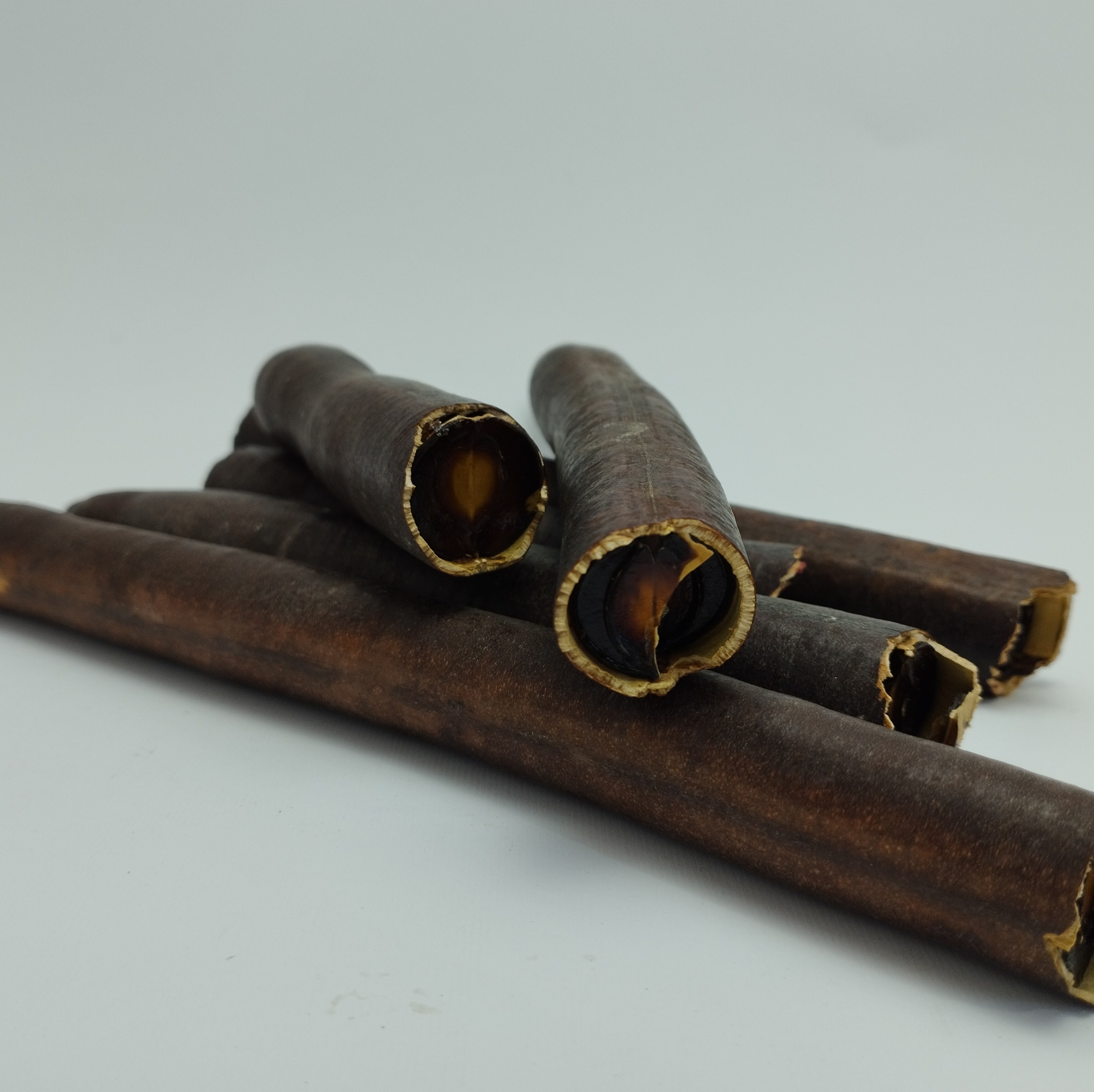 فلوس ( Golden Shower Tree ) ( Cassia Fistula )  40 گرم