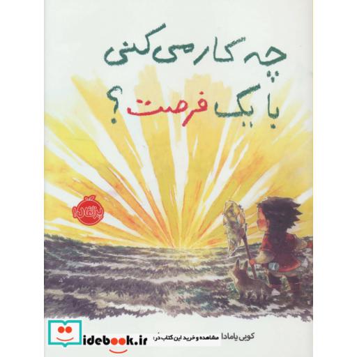 کتاب چه کار می کنی با یک فرصت نشر پرتقال