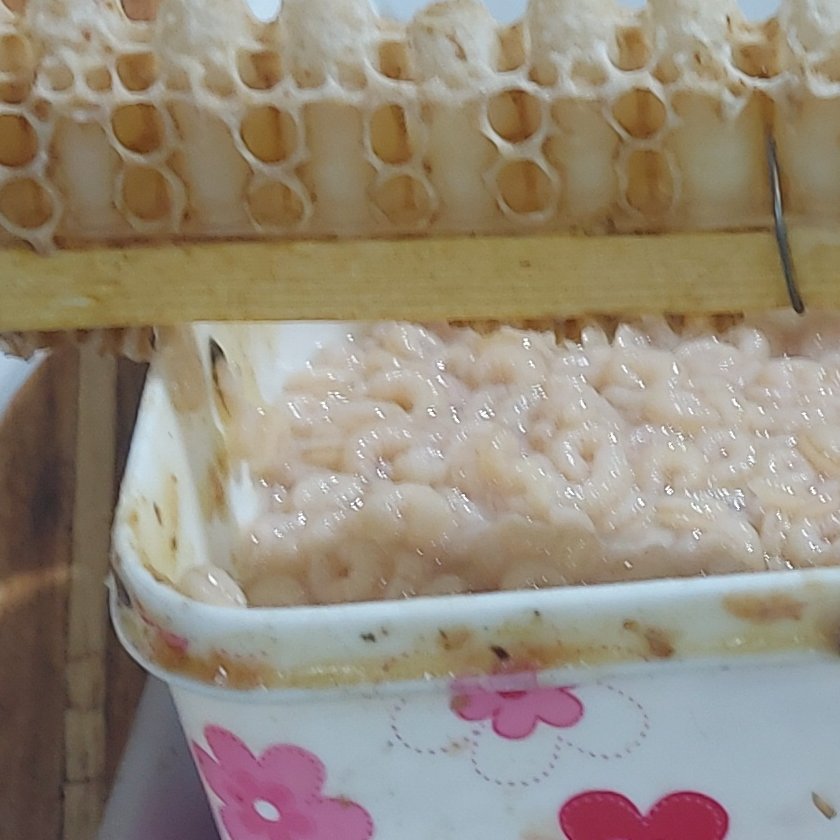 لارو ملکه