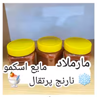 مارمالاد نارنج پرتقال(مایع اسکمو)(300گرم)