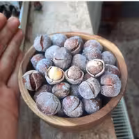 فندق برشته نمکی (یک کیلوگرم) آجیل فیدنو