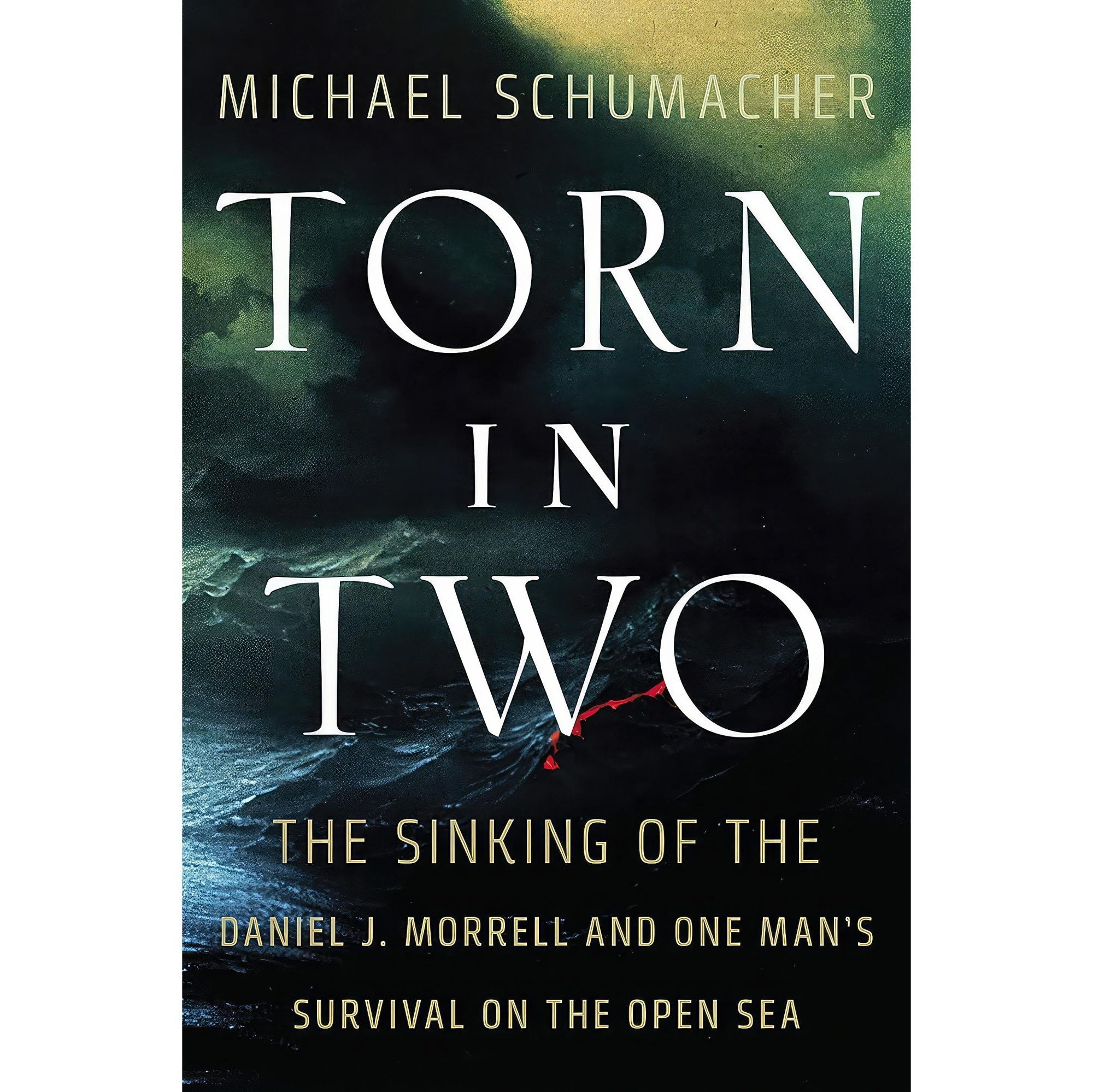 کتاب زبان اصلی Torn in Two اثر Michael Schumacher