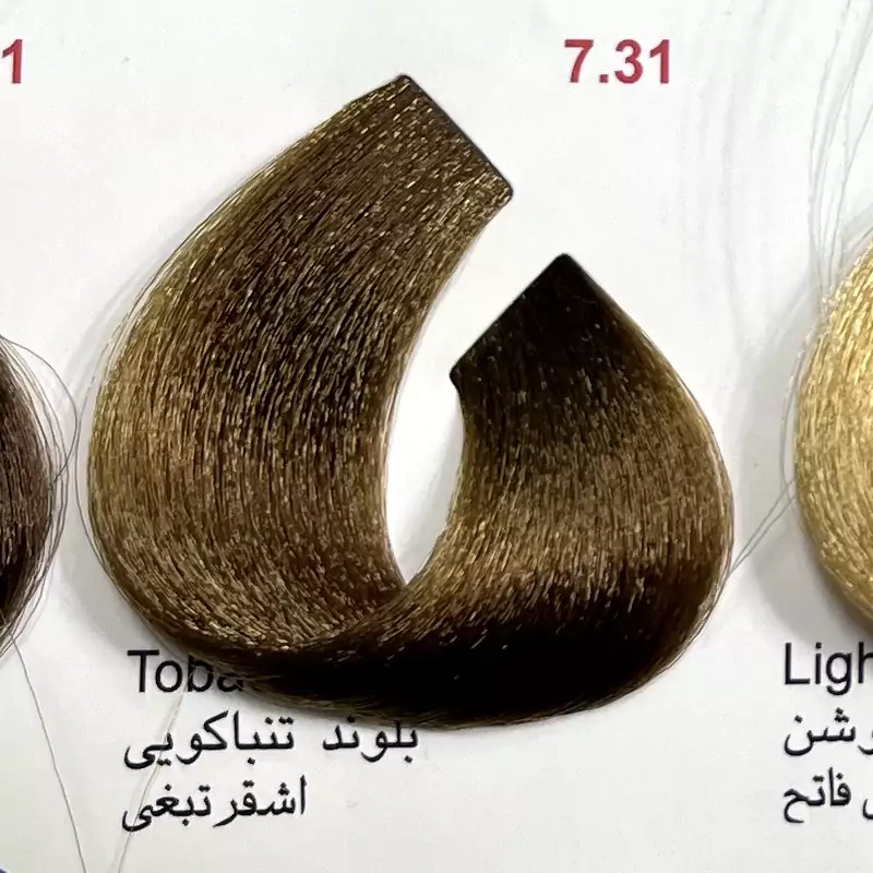 بلوند تنب اکویی 731 ،رنگ مو کم آمونیاک پیلون ویک عدد اکسیدان | amazonchi