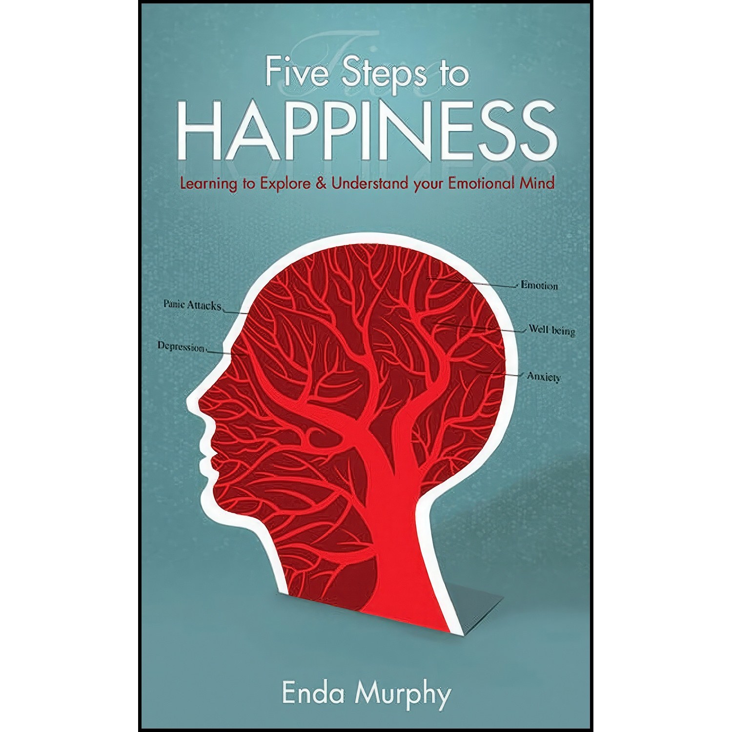 کتاب زبان اصلی Five Steps to Happiness اثر Enda Murphy