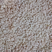 لوبیا سفید پاک شده خوش پخت ودرشت یک کیلویی بسته بندی فله