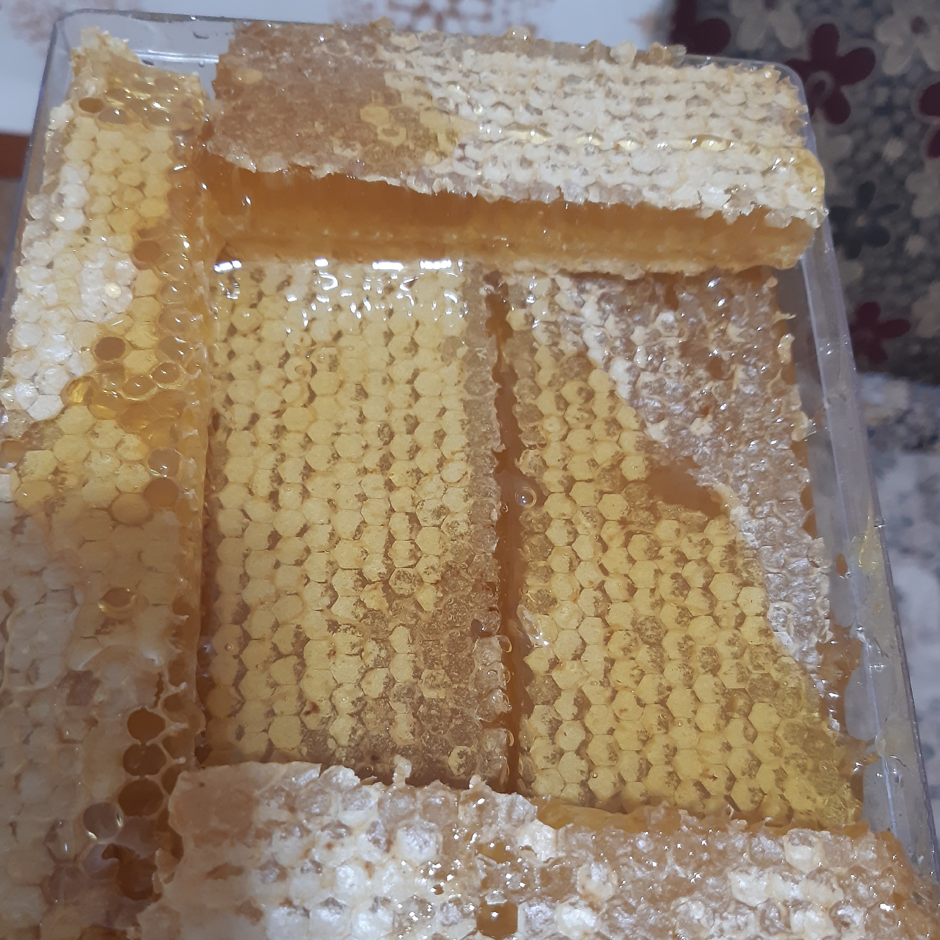 عسل کوهی داخل شان در بسته بندی یک کیلوگرم با قیمت عالی