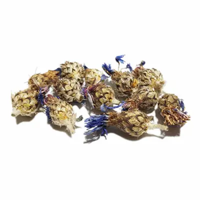 گیاه قنطوریون (گل گندم) 100 گرمی