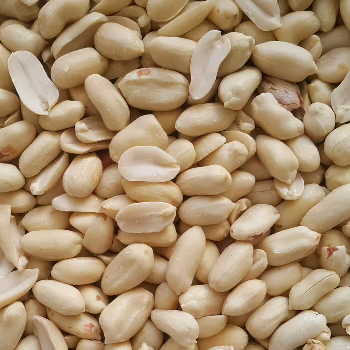 بادام زمینی خام پوست کنده (10 کیلو) 