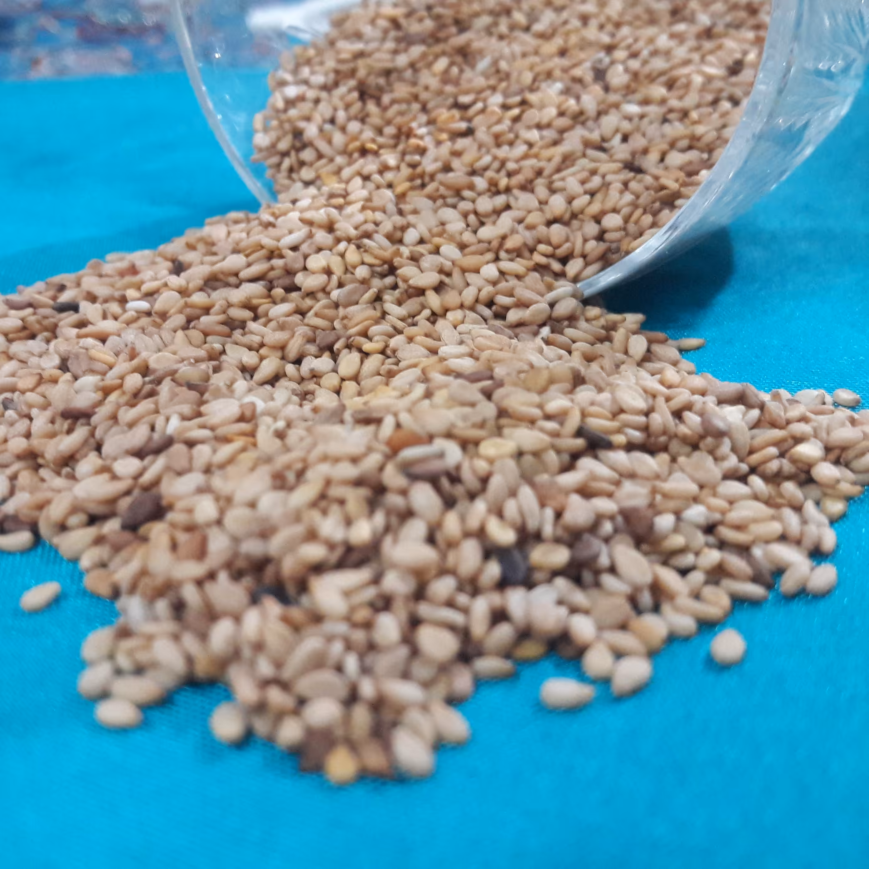 کنجد محلی اعلا مازند مزرعه(200 گرمی)