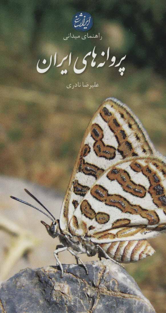 کتاب پروانه های ایران