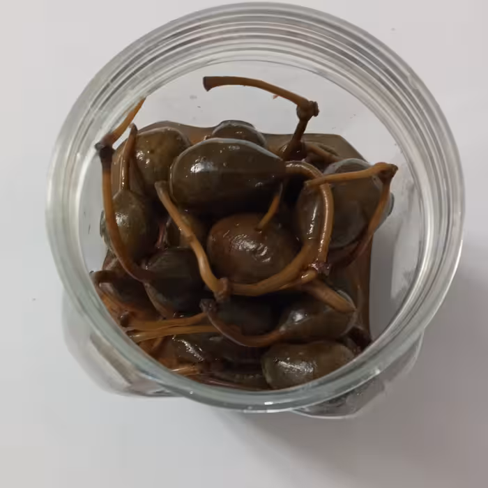 ترشی کبر، ترشی کاپاریس خانگی، کاملا طبیعی جمع آوری شده از صحرا ( وحشی و خود رو)