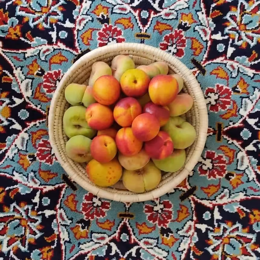 سینی دسته دار 30 سانت (off) (پس کرایه)