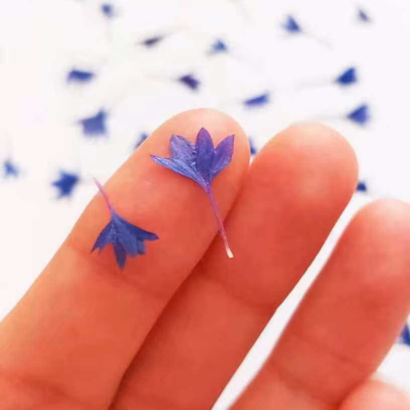 گل خشگ گندمی برای رزین و..