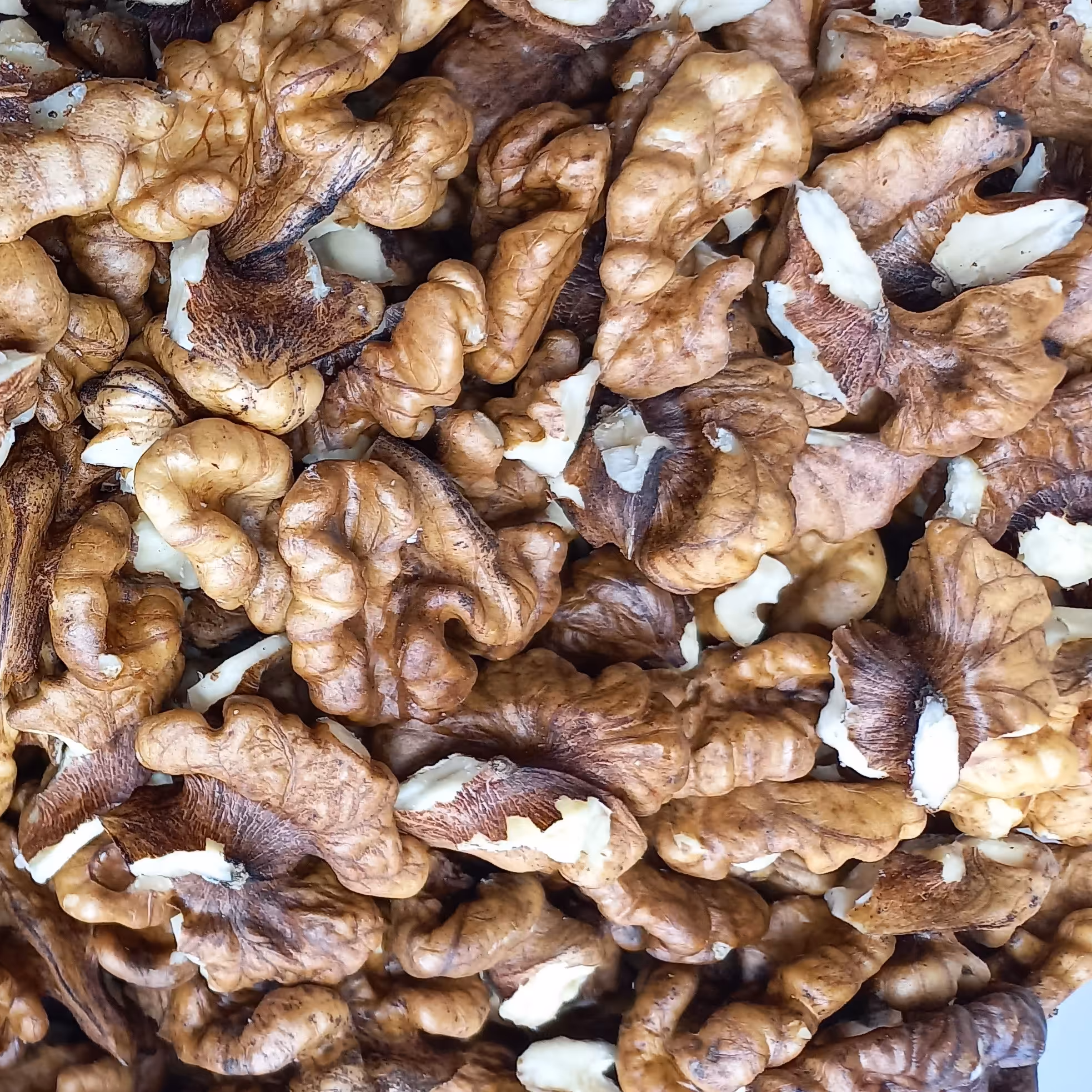 مغز گردو فسنجونی بسته 500 گرمی