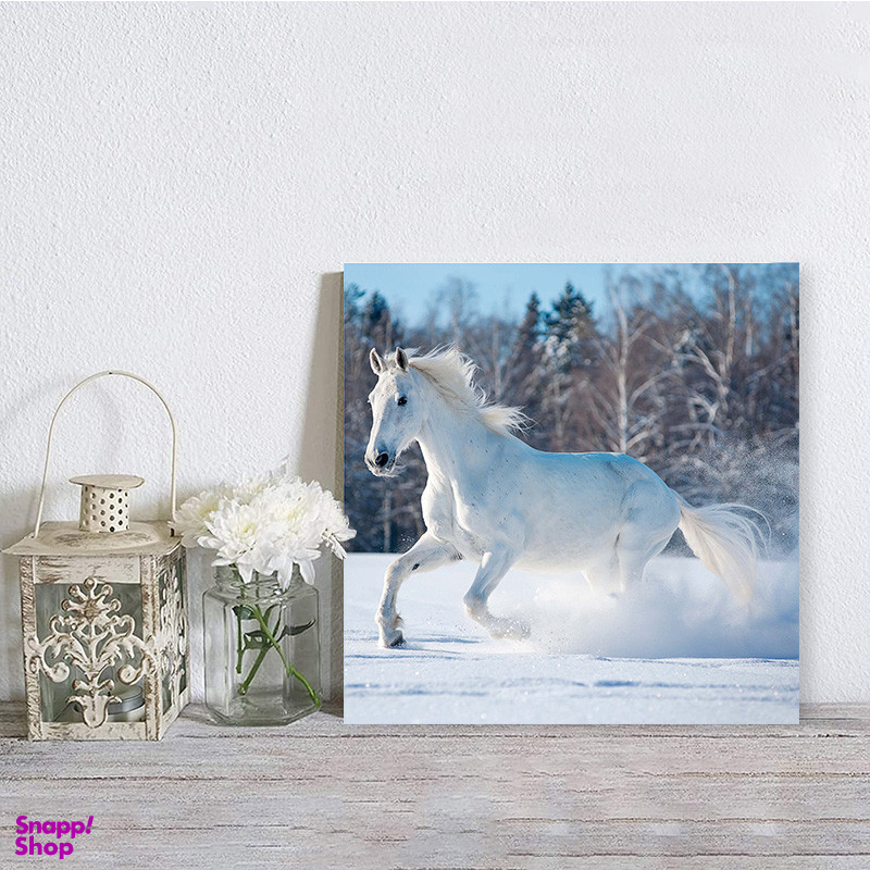 تابلو شاسی صبا طرح مدل جاده و اسب کد M173