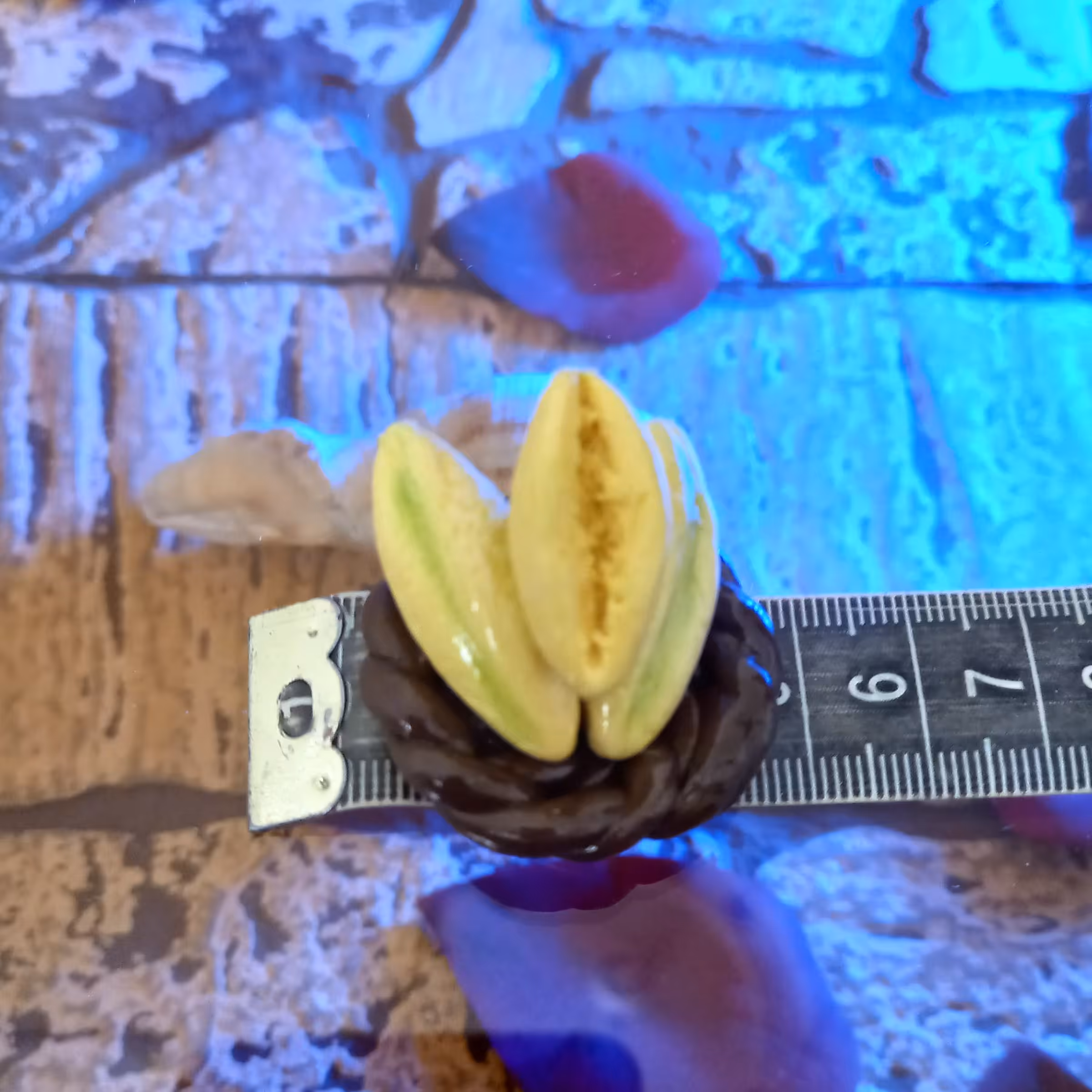 مگنت خربزه خمیر ایتالیایی کیلر خورده قابل شستشوی دستی