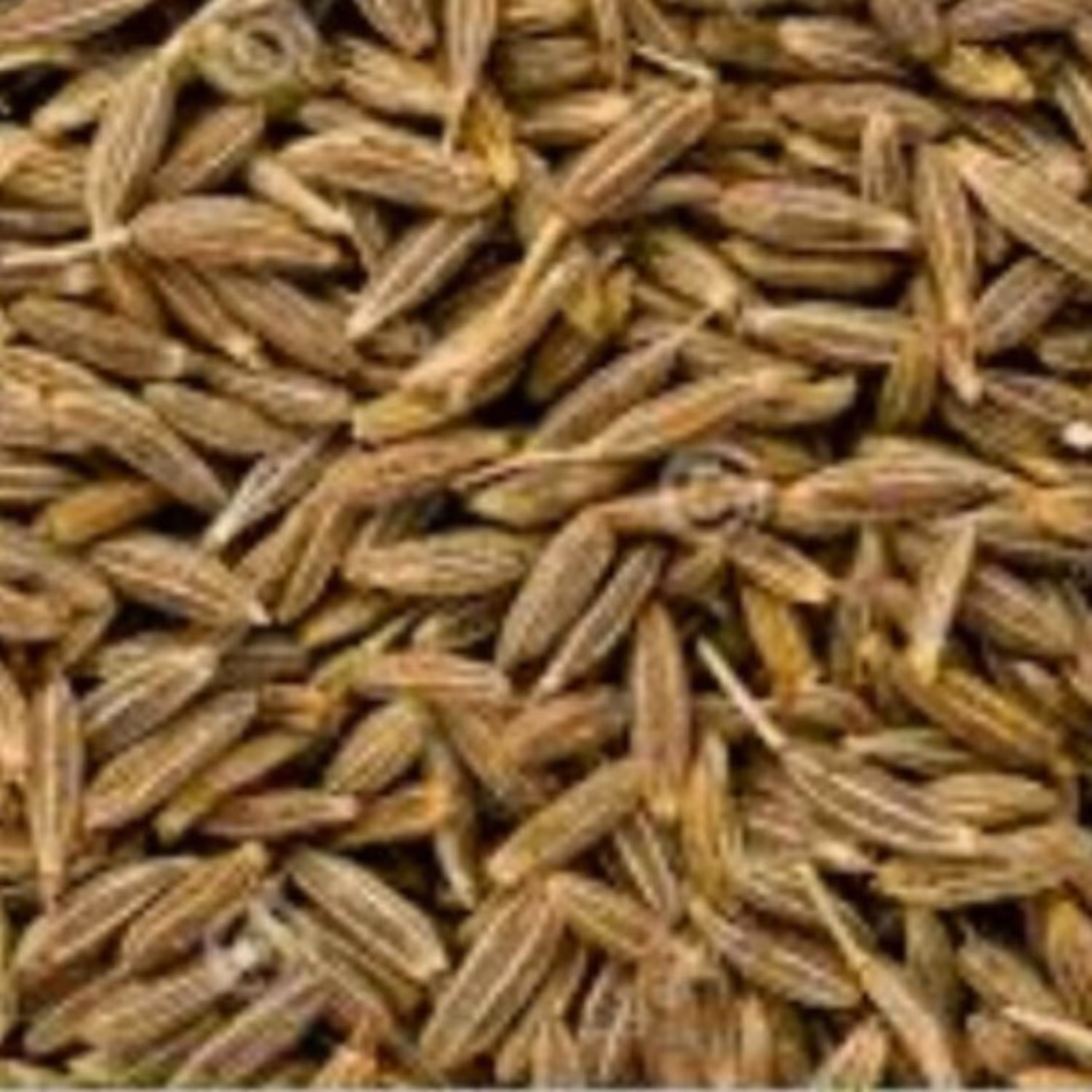 زیره سبز  50 گرمی سورت شده صادراتی